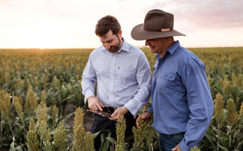 Two men talking in a crop field at sunset